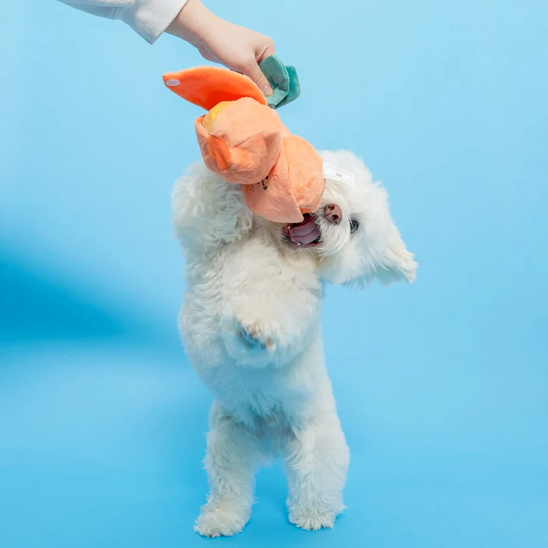 Hundespielzeug, Orange