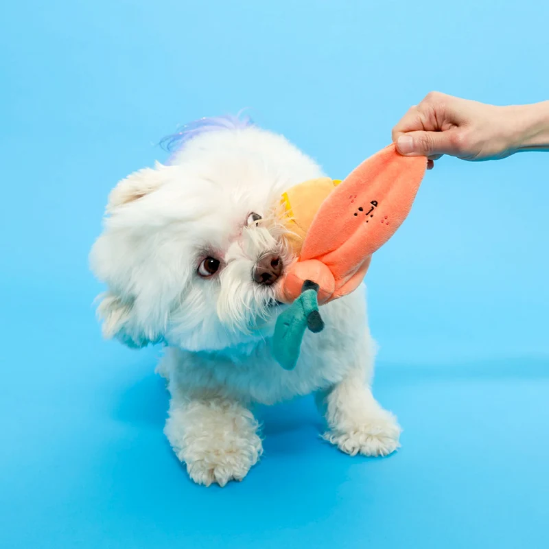 Hundespielzeug, Orange