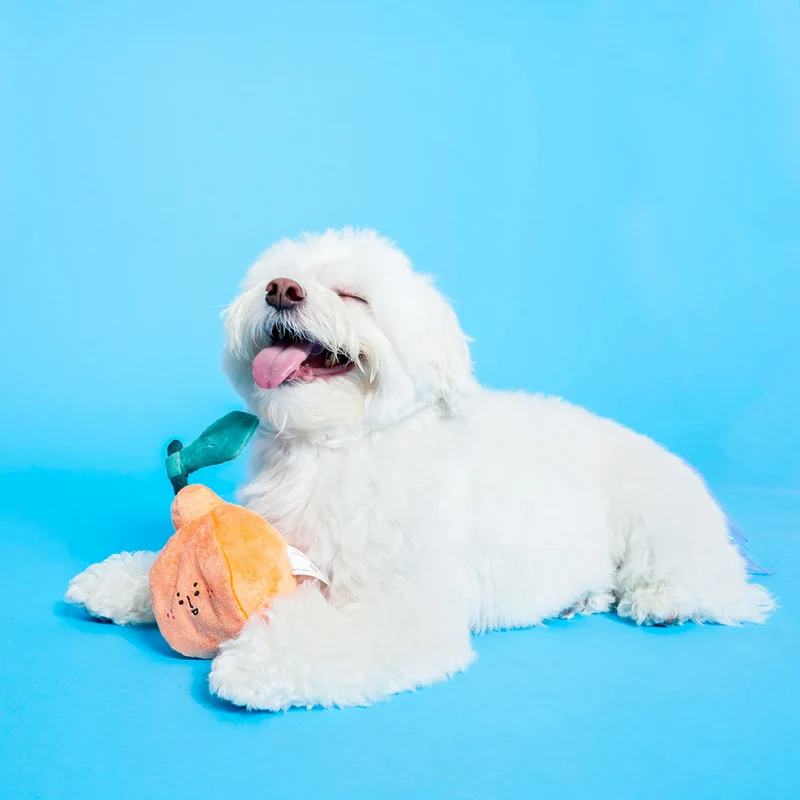 Hundespielzeug, Orange