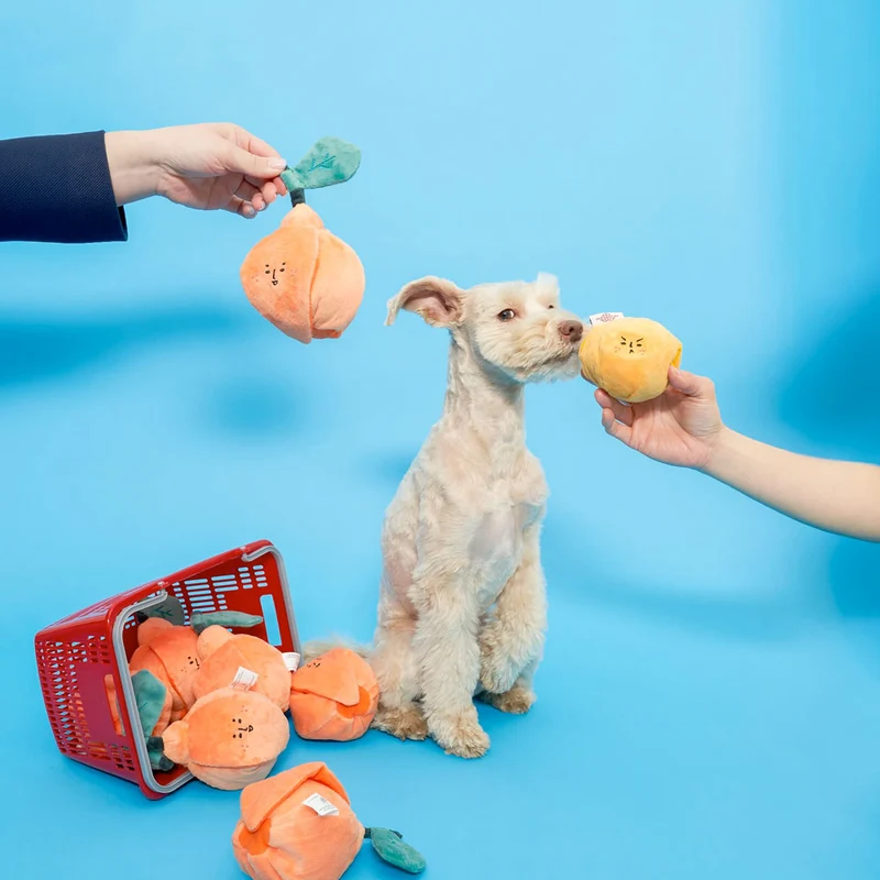 Hundespielzeug, Orange