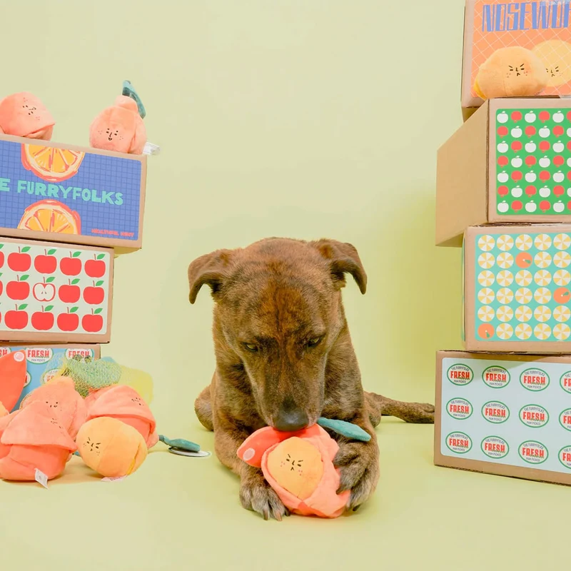 Hundespielzeug, Orange