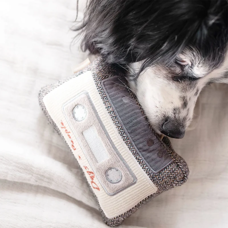 Schnüffelspielzeug KASSETTE