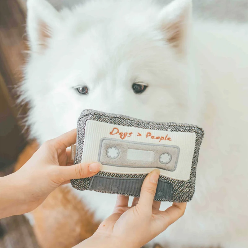 Schnüffelspielzeug KASSETTE