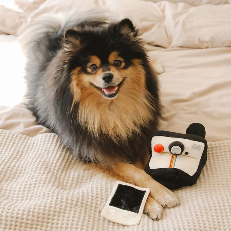Schnüffelspielzeug INSTANT CAMERA