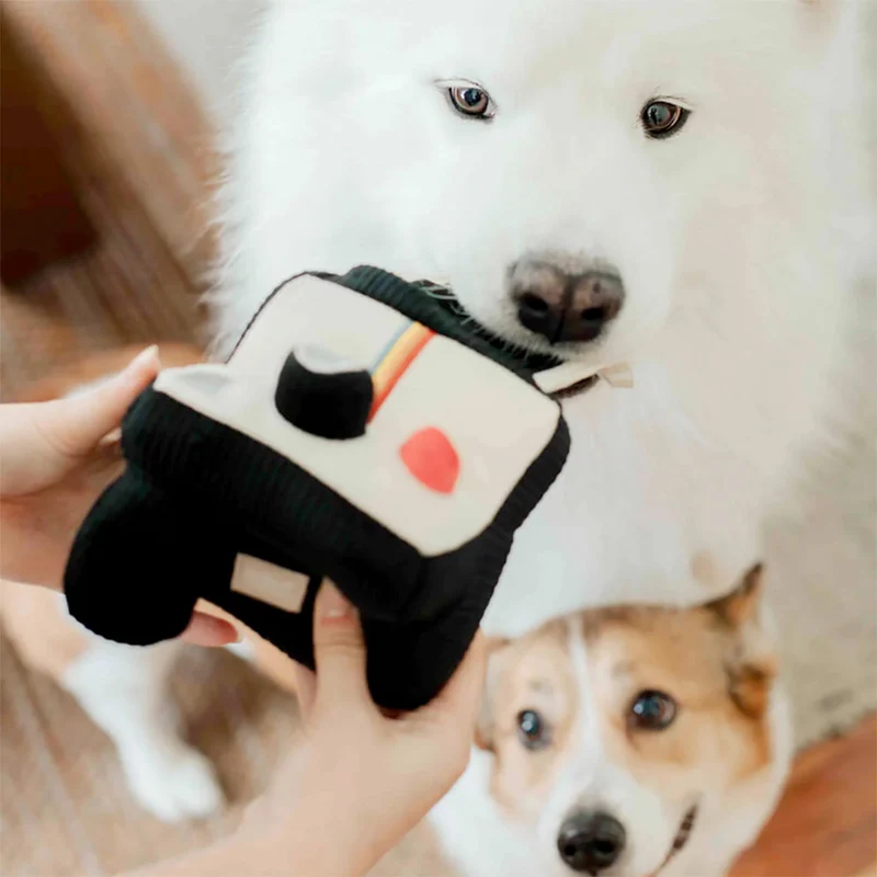 Schnüffelspielzeug INSTANT CAMERA
