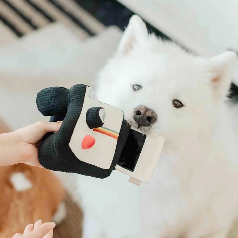 Schnüffelspielzeug INSTANT CAMERA