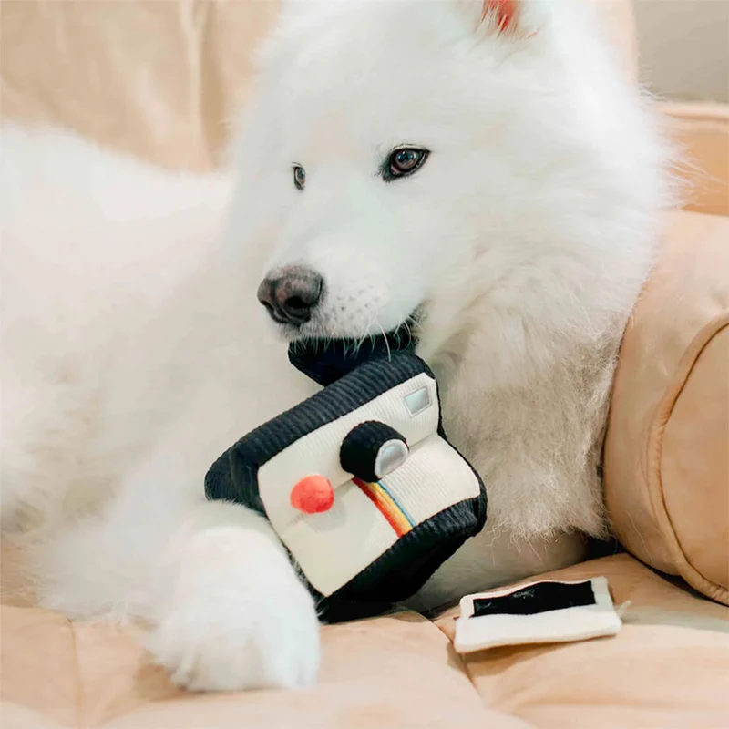 Schnüffelspielzeug INSTANT CAMERA