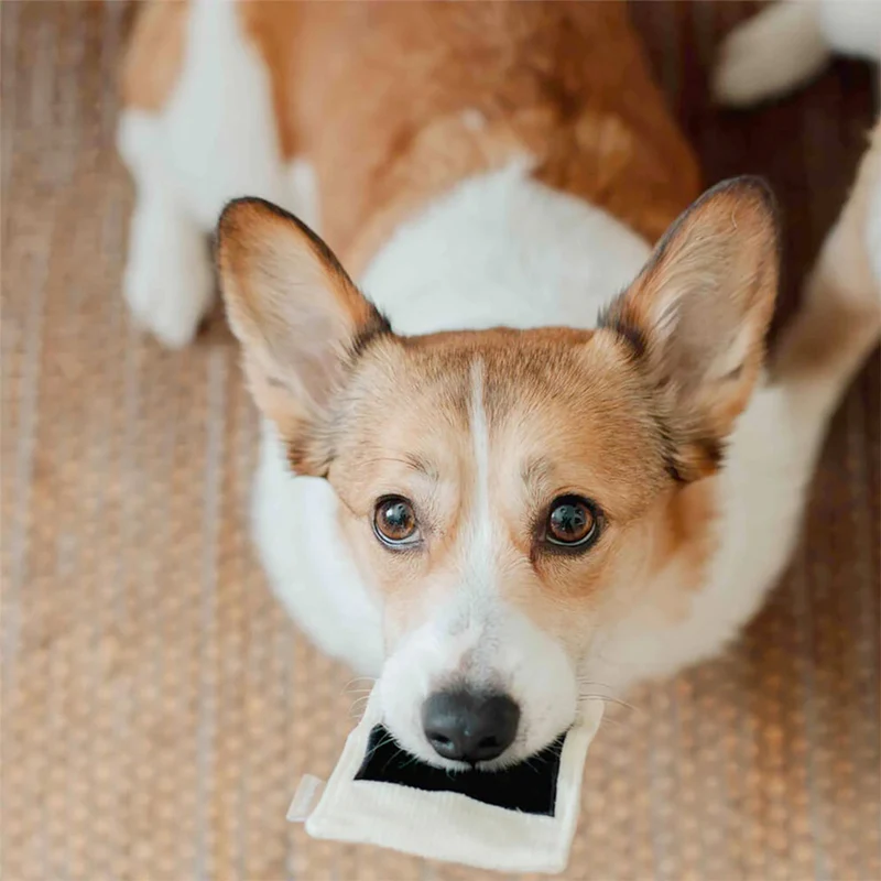 Schnüffelspielzeug INSTANT CAMERA