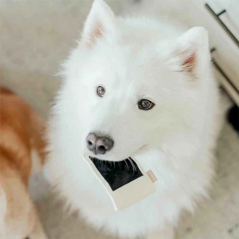 Schnüffelspielzeug INSTANT CAMERA