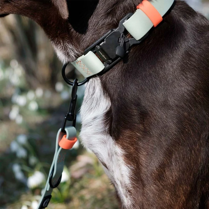 Hundehalsband BioThane Ipanema, Mint - Neon Orange