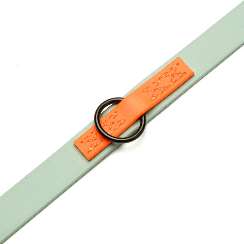 Hundeleine BioThane Ipanema, Mint - Neon Orange
