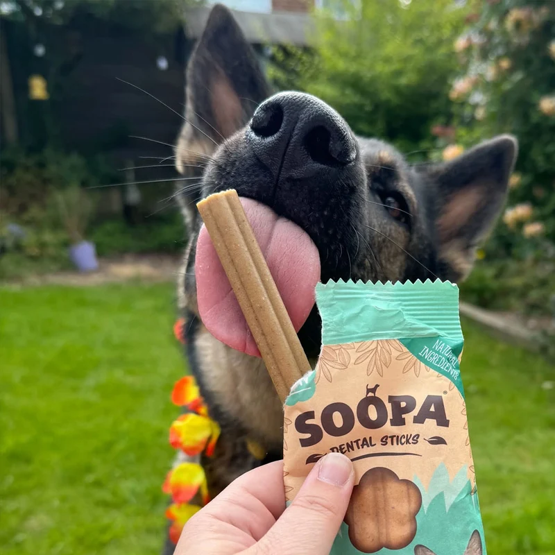Dental Sticks, Paw-ña Colada
