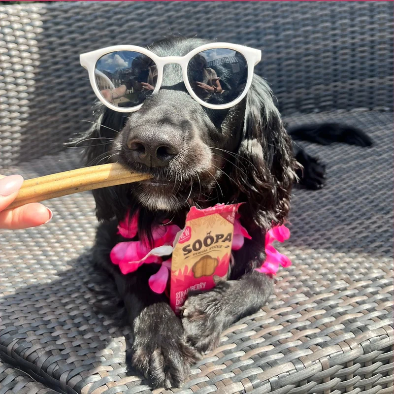 Dental Sticks, Strawberry Dog-Quiri