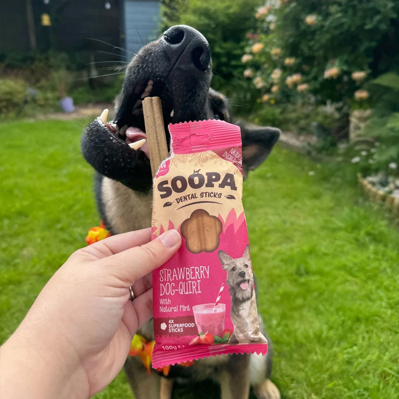 Dental Sticks, Strawberry Dog-Quiri