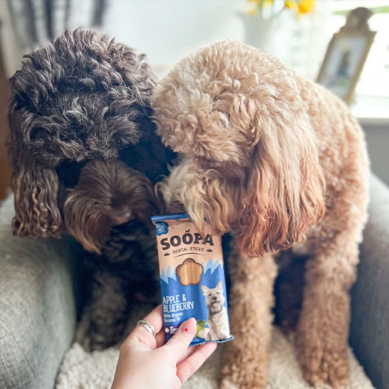 Dental Sticks, Apfel & Blaubeere