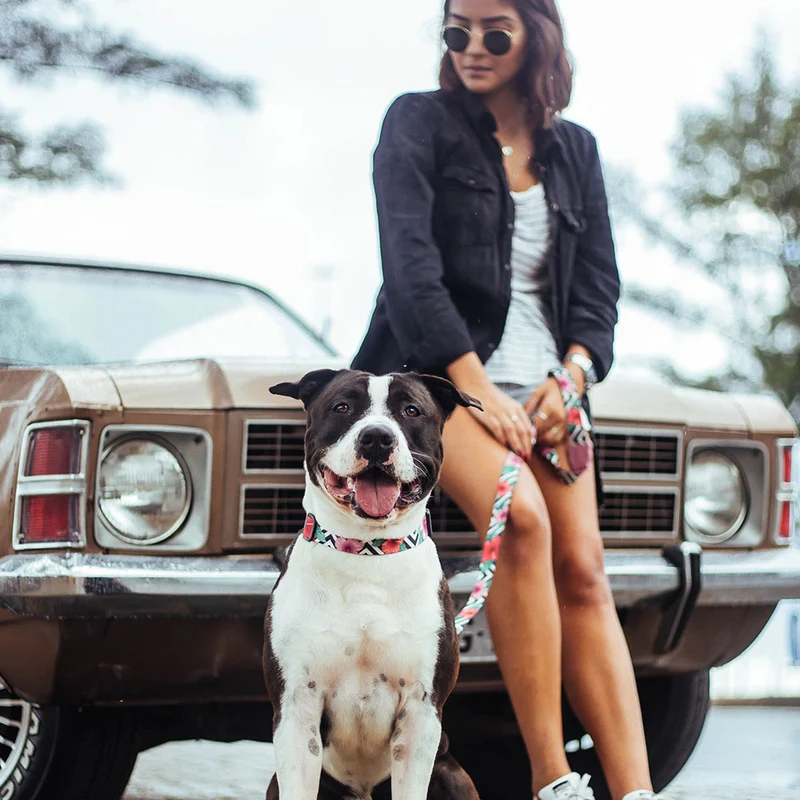 Hundehalsband, Mahalo
