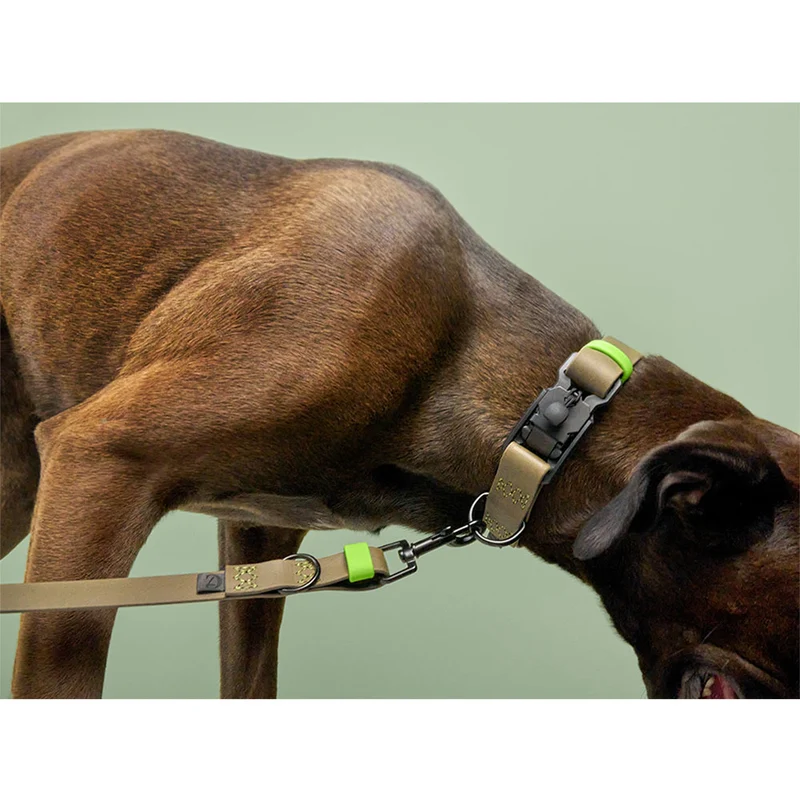 Freihandleine BioThane Ipanema, Olive-Neon Green