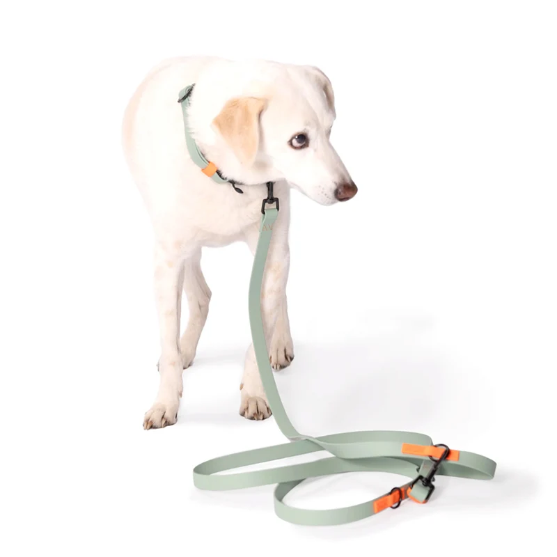 Freihandleine BioThane Ipanema, Mint - Neon Orange