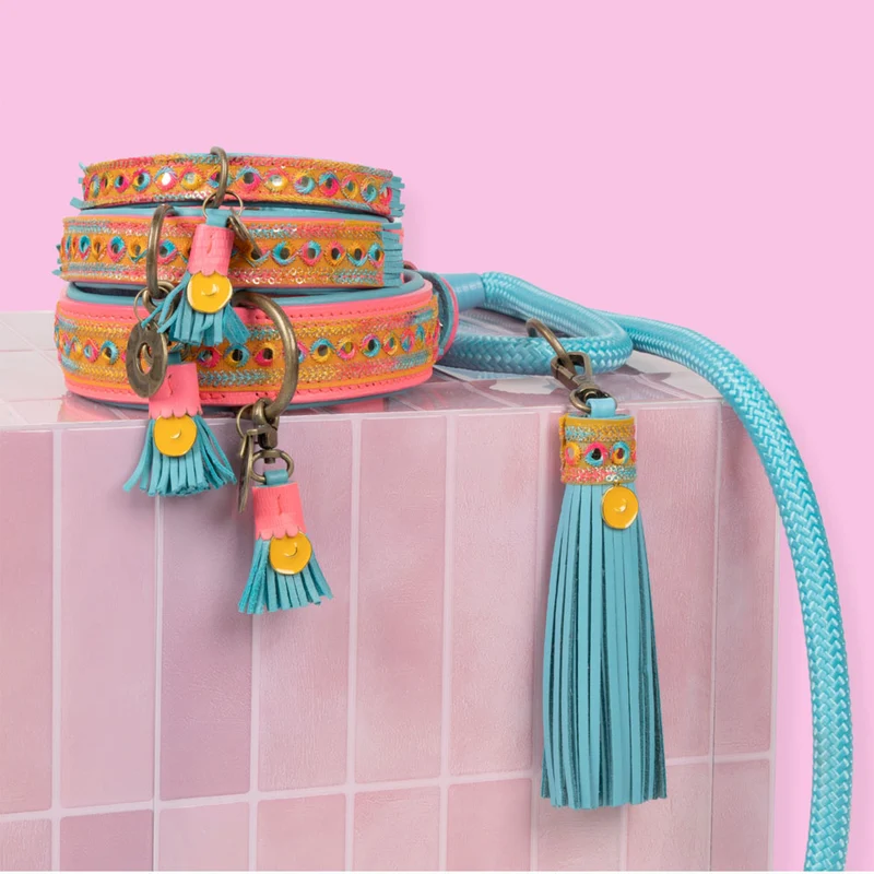 Hundehalsband | Indian Summer