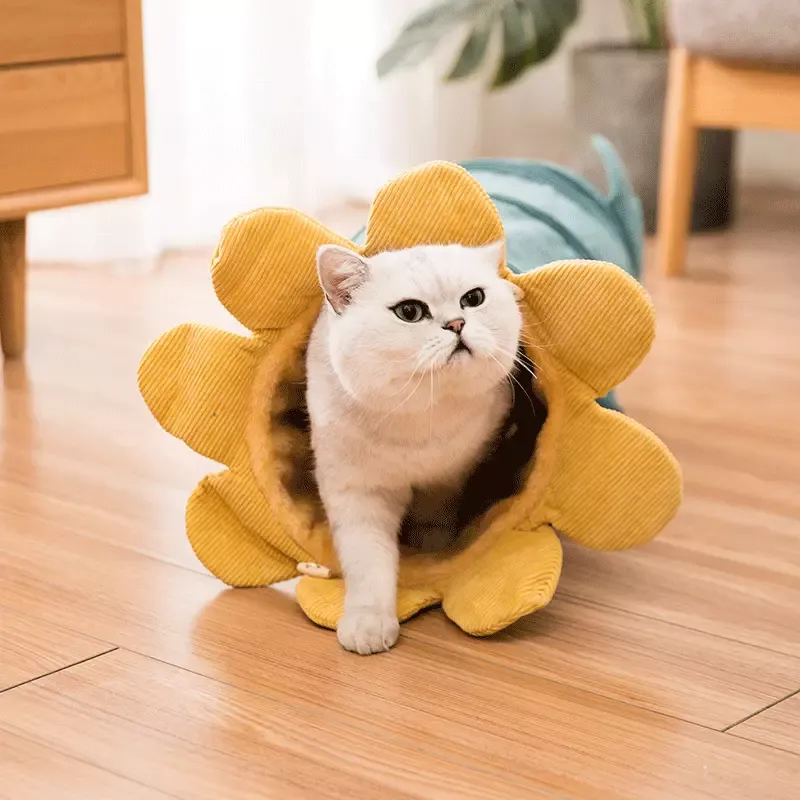 Katzen Tunnel in Blumenform – Weicher Spieltunnel für Katzen