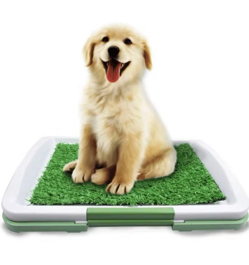 Hundetoilette mit Kunstrasen – Rutschfeste Matte für Drinnen und Draußen