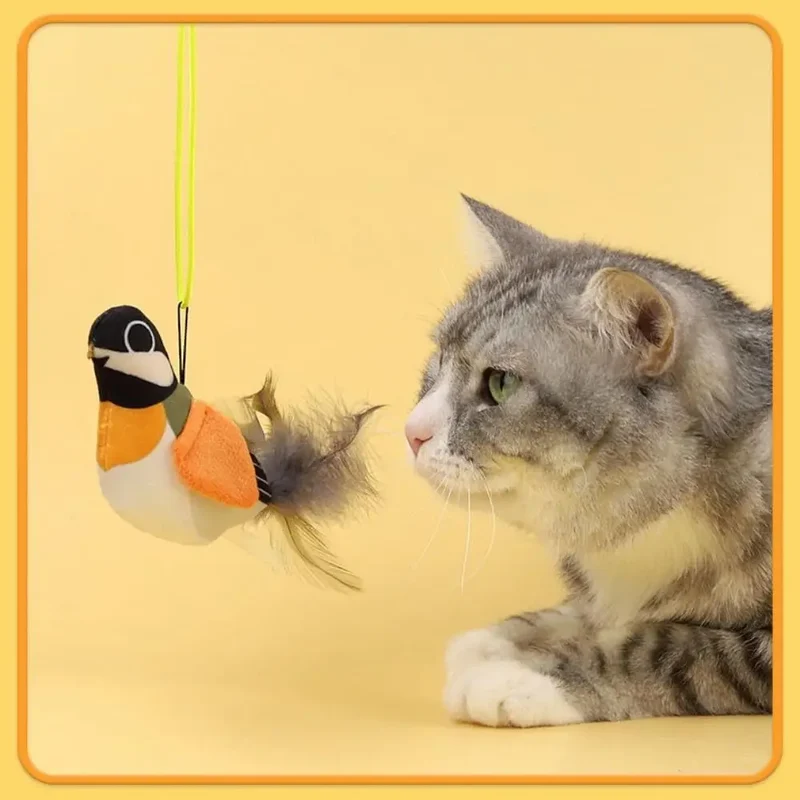 Hängender Vogel Katzenspielzeug