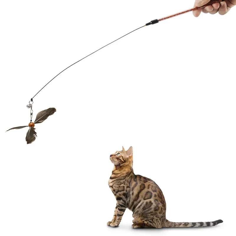 Katzen Feder Stimulations Spielzeug
