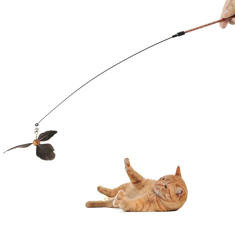 Katzen Feder Stimulations Spielzeug