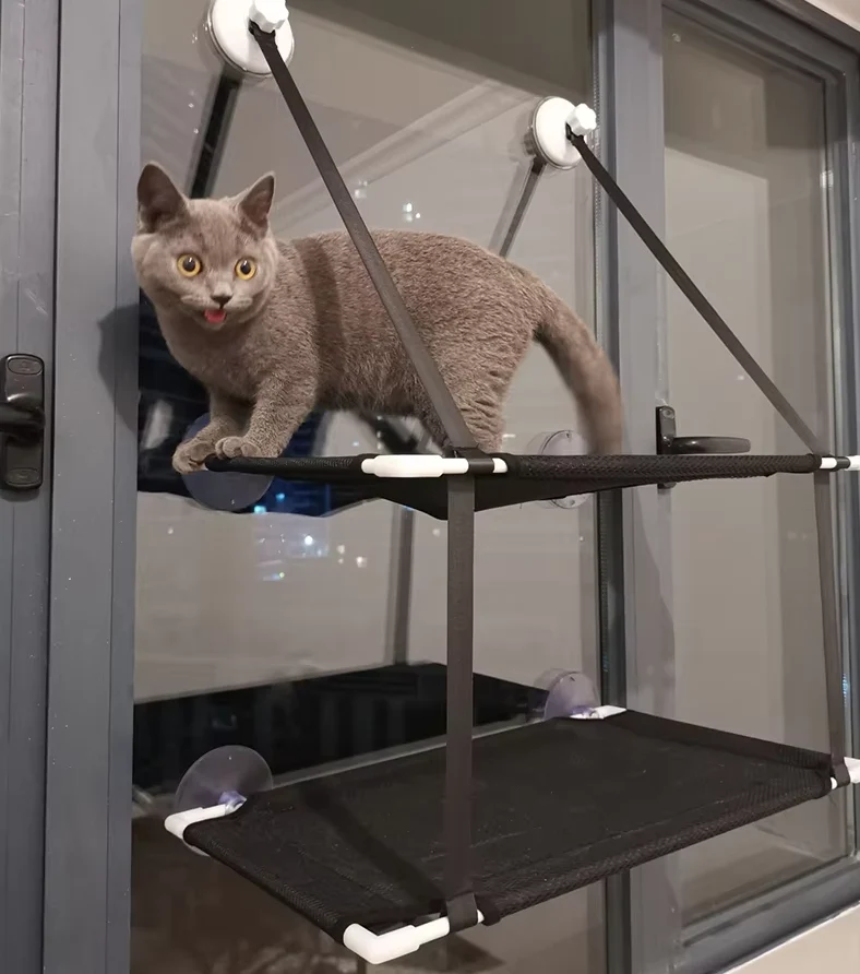 Katzen Fensterliege – Platzsparend und Stabil mit Saugfüßen