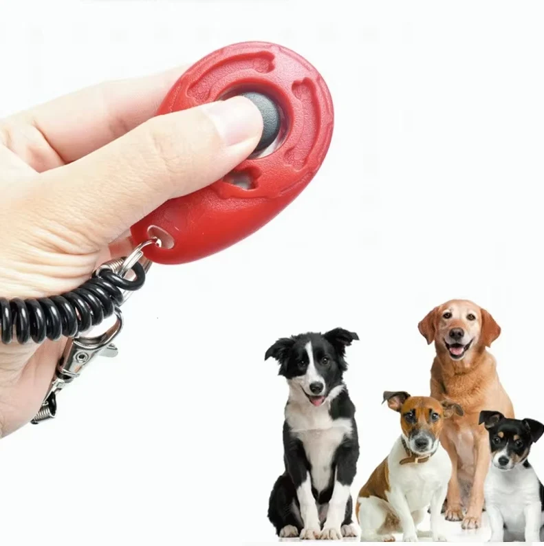 Hundetrainer Clicker – Ergonomischer Klicker mit Spirale und Karabinerhaken