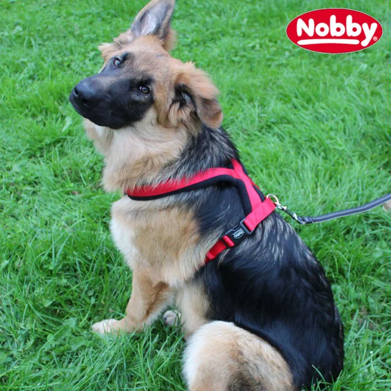 Nobby Geschirr CLASSIC COMFORT - Nylon-Fleece Hundegeschirr Komfortgeschirr