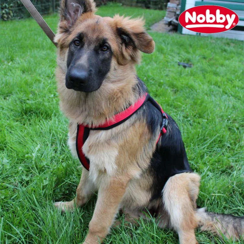 Nobby Geschirr CLASSIC COMFORT - Nylon-Fleece Hundegeschirr Komfortgeschirr