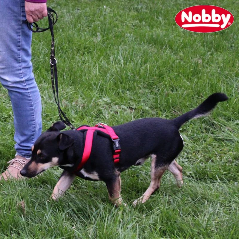 Nobby Geschirr CLASSIC COMFORT - Nylon-Fleece Hundegeschirr Komfortgeschirr