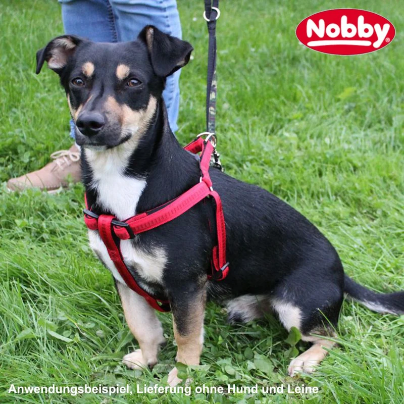 Nobby Geschirr SOFT GRIP - S/M/L/XL alle Farben + Größen - Nylon Hundegeschirr
