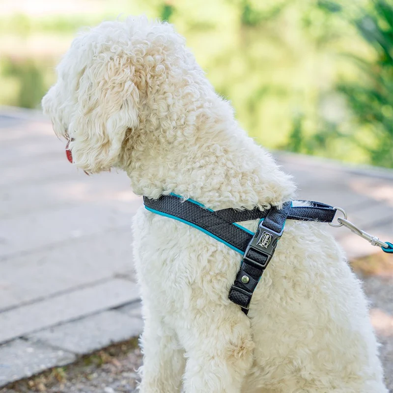 Nobby Norwegergeschirr MESH PRENO - S/M/L/XL - Nylon Geschirr Hundegeschirr