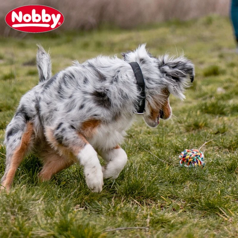Nobby Knotenseil-Ball - S/M/L - Baumwolle - Kauspielzeug Apportierspielzeug