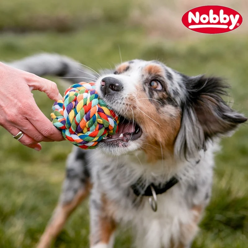 Nobby Knotenseil-Ball - S/M/L - Baumwolle - Kauspielzeug Apportierspielzeug