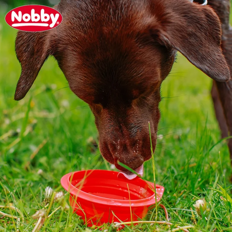 Nobby Silikon Reisenapf - faltbar - Futternapf Hundenapf Wassernapf Fressnapf