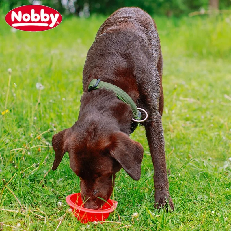 Nobby Silikon Reisenapf - faltbar - Futternapf Hundenapf Wassernapf Fressnapf