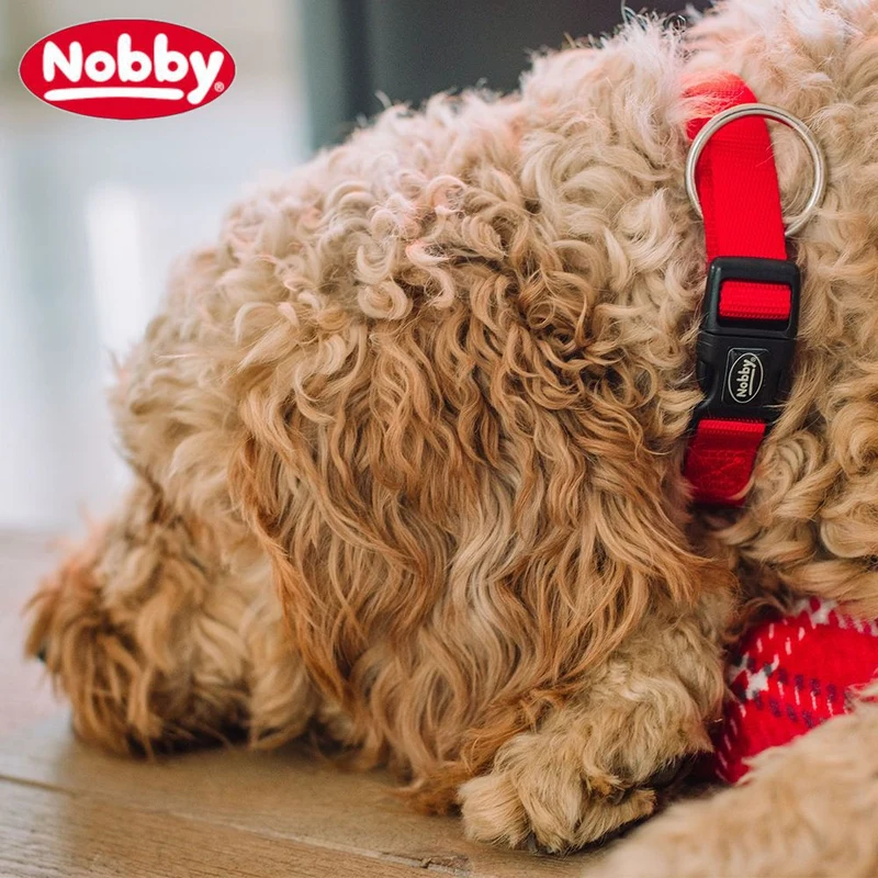 Nobby Halsband CLASSIC XXS/XS-S/S-M/M-L/L-XL alle Farben - Nylon Hundehalsband
