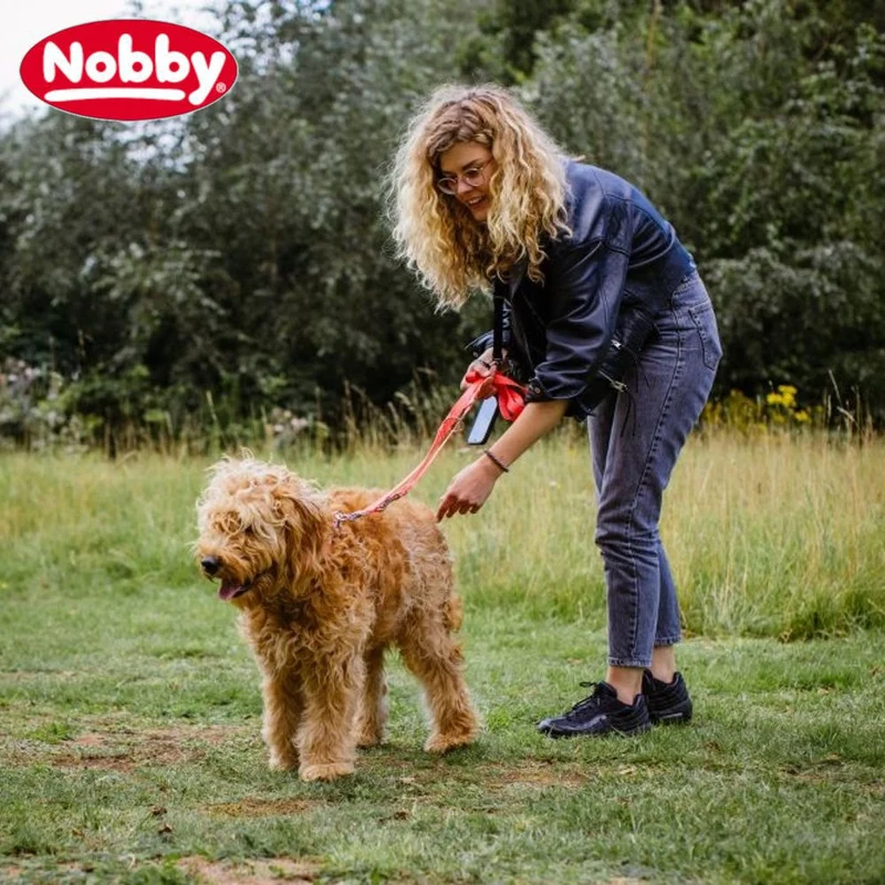 Nobby Leine CLASSIC 120 cm lang - 10/15/20/25 mm breit - Nylon Hundeleine 1,2 m
