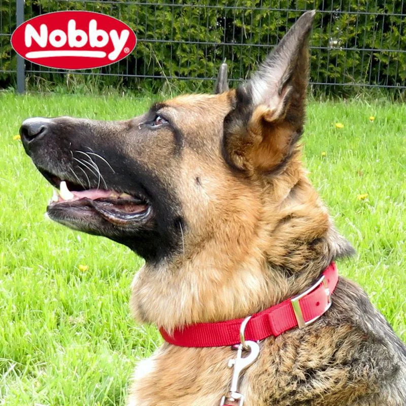Nobby Halsband CLASSIC SOFT - S/M/L/XL/XXL - 3 Farben - Nylon Hundehalsband