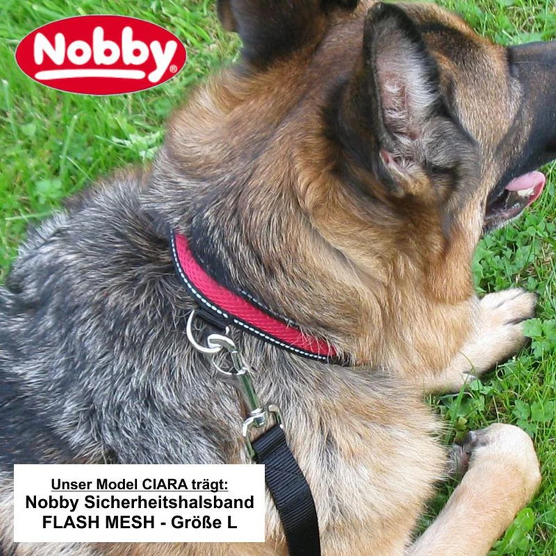 Nobby Sicherheitshalsband FLASH MESH - S/M/L - Leuchthalsband LED Halsband Hund