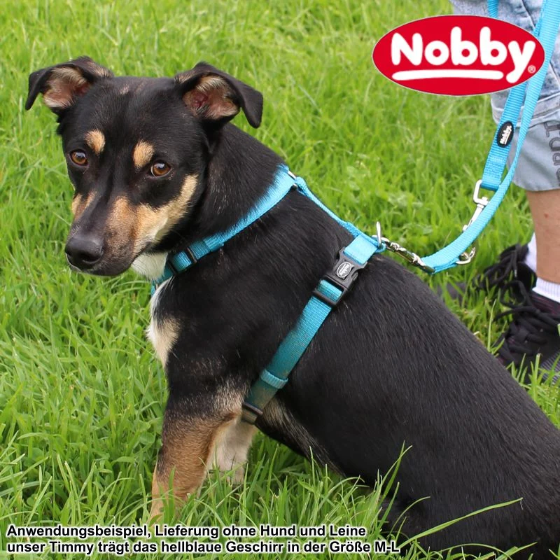 Nobby Geschirr CLASSIC XXS/XS-S/S-M/M-L/L-XL alle Farben - Nylon Hundegeschirr