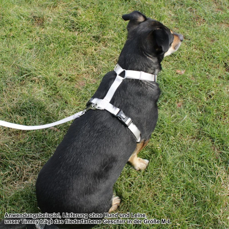 Nobby Geschirr CLASSIC XXS/XS-S/S-M/M-L/L-XL alle Farben - Nylon Hundegeschirr