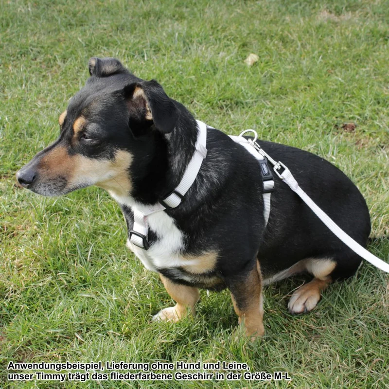 Nobby Geschirr CLASSIC XXS/XS-S/S-M/M-L/L-XL alle Farben - Nylon Hundegeschirr