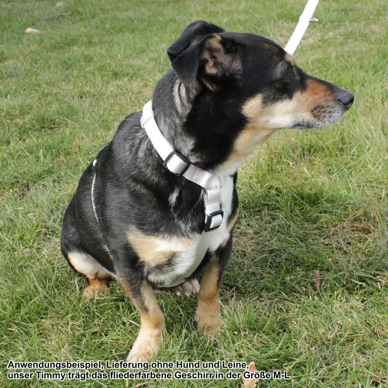 Nobby Geschirr CLASSIC XXS/XS-S/S-M/M-L/L-XL alle Farben - Nylon Hundegeschirr