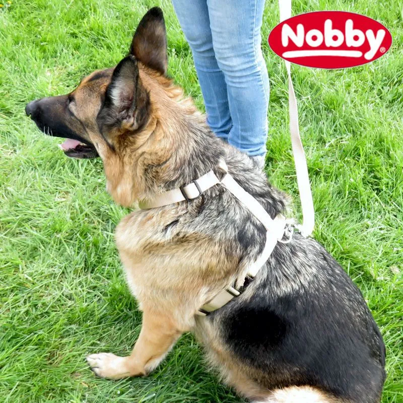 Nobby Geschirr CLASSIC XXS/XS-S/S-M/M-L/L-XL alle Farben - Nylon Hundegeschirr