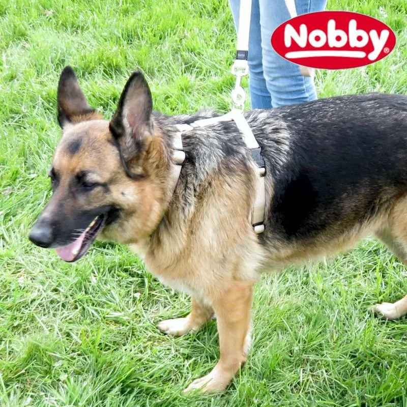 Nobby Geschirr CLASSIC XXS/XS-S/S-M/M-L/L-XL alle Farben - Nylon Hundegeschirr