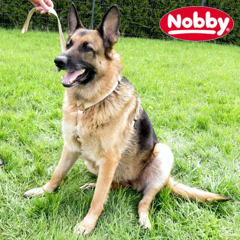 Nobby Geschirr CLASSIC XXS/XS-S/S-M/M-L/L-XL alle Farben - Nylon Hundegeschirr